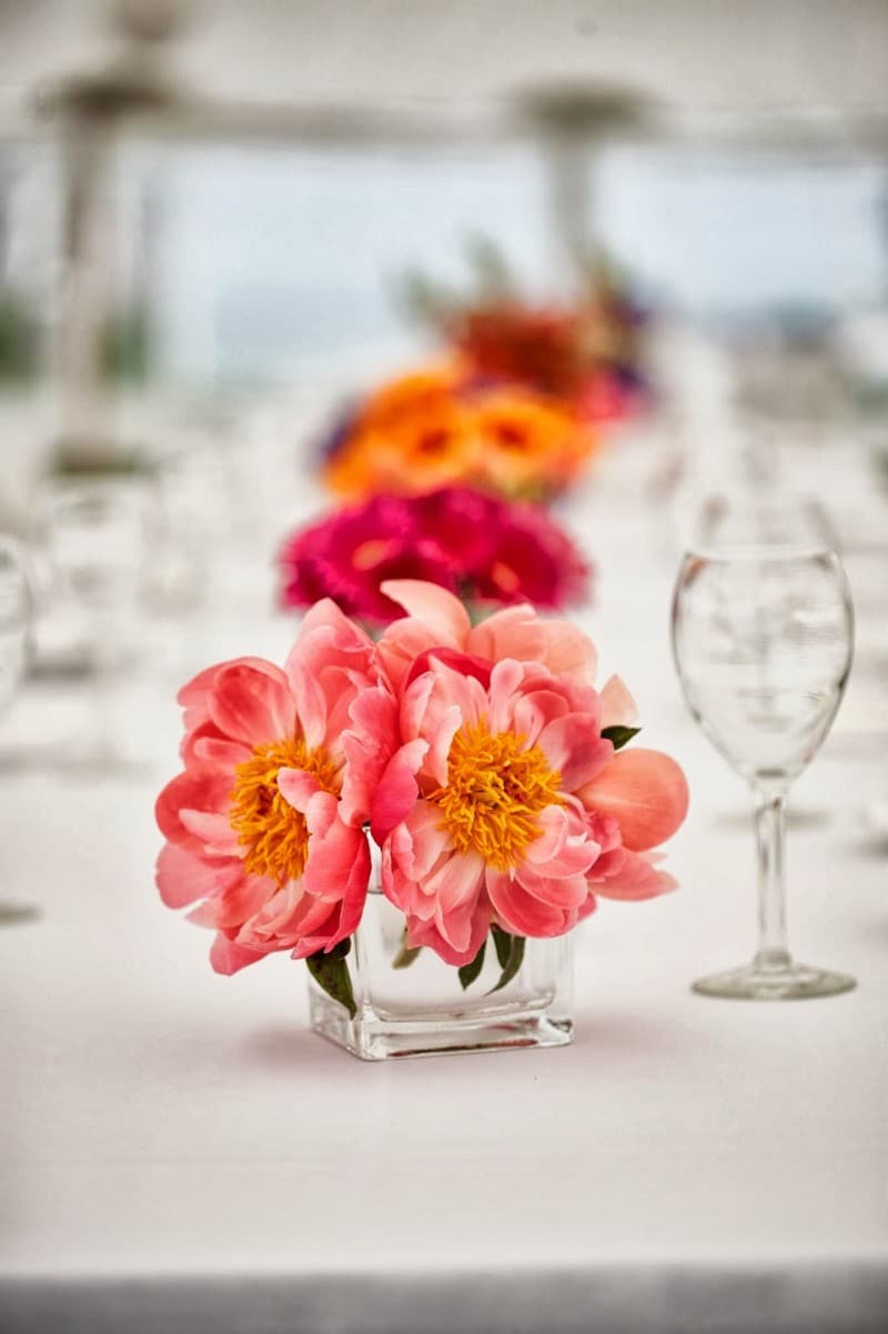 Brightly colored flowers from Sayles Livingston Design enhance a breathtaking,  seaside,   New England setting.